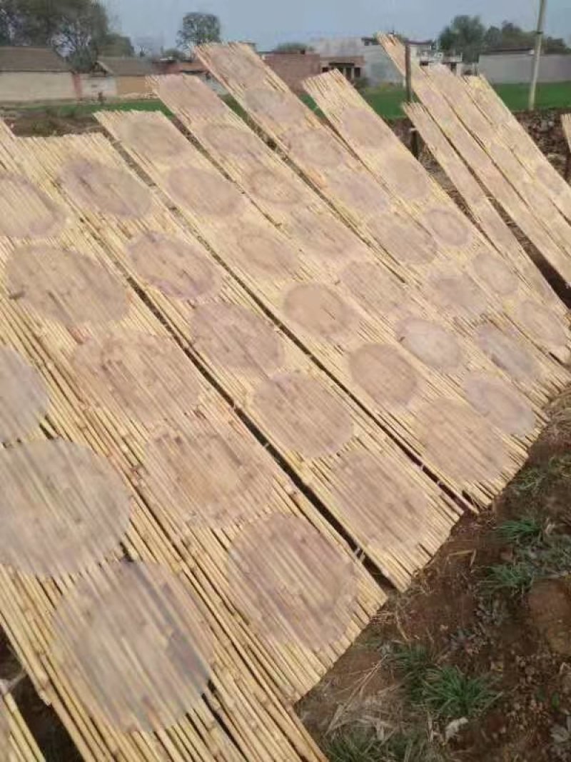 红薯