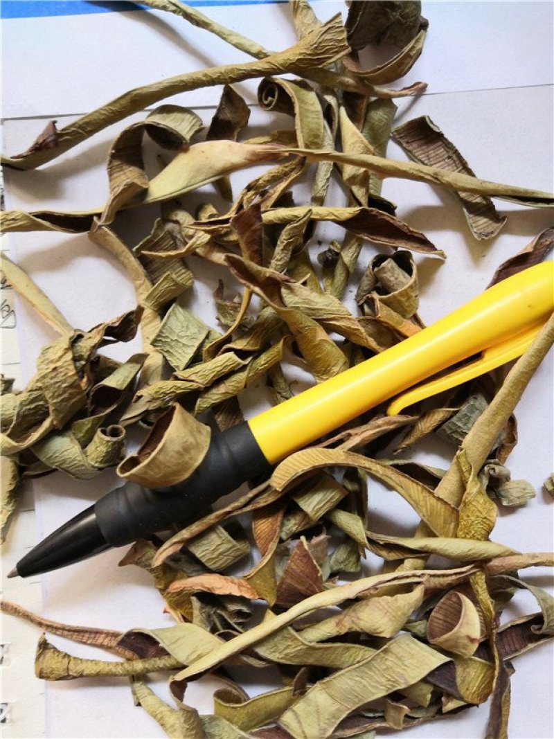 芦荟上千余种中药材
