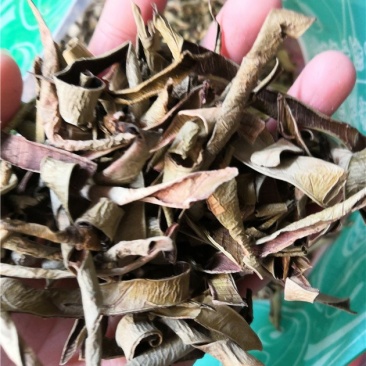 芦荟上千余种中药材
