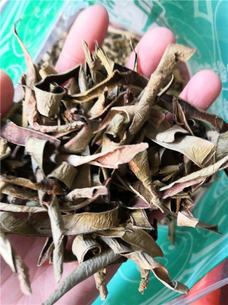 芦荟上千余种中药材