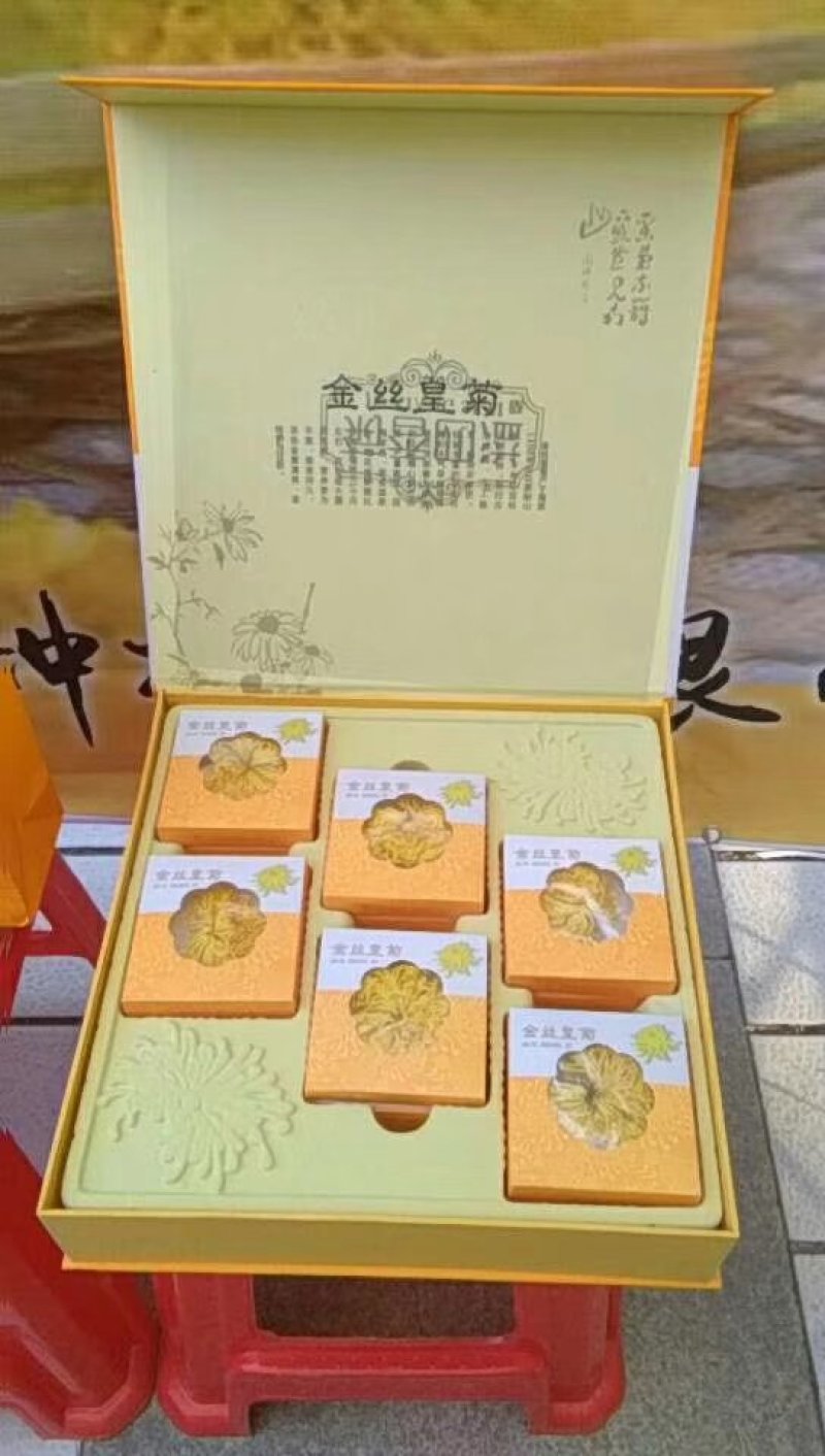 金丝黄菊