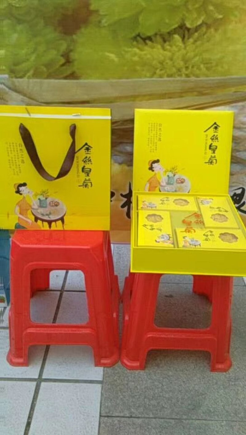 金丝黄菊