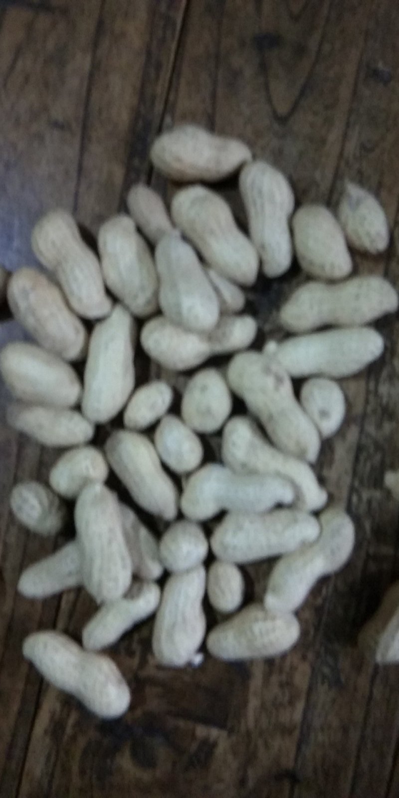 栝楼根