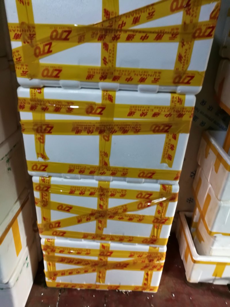 根茎类
