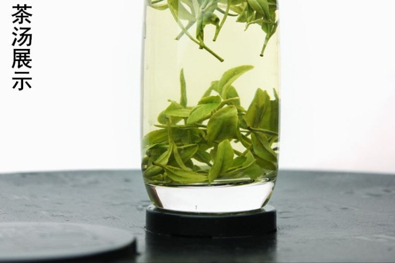 安吉白茶
