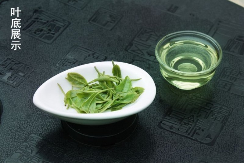 安吉白茶