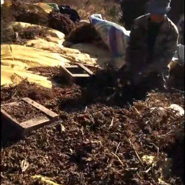 上千亩山地寻求绿色有机食品种植伙伴