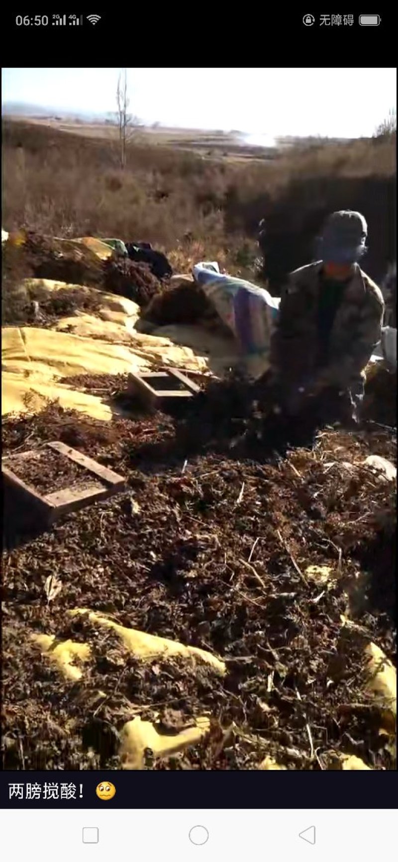 上千亩山地寻求绿色有机食品种植伙伴