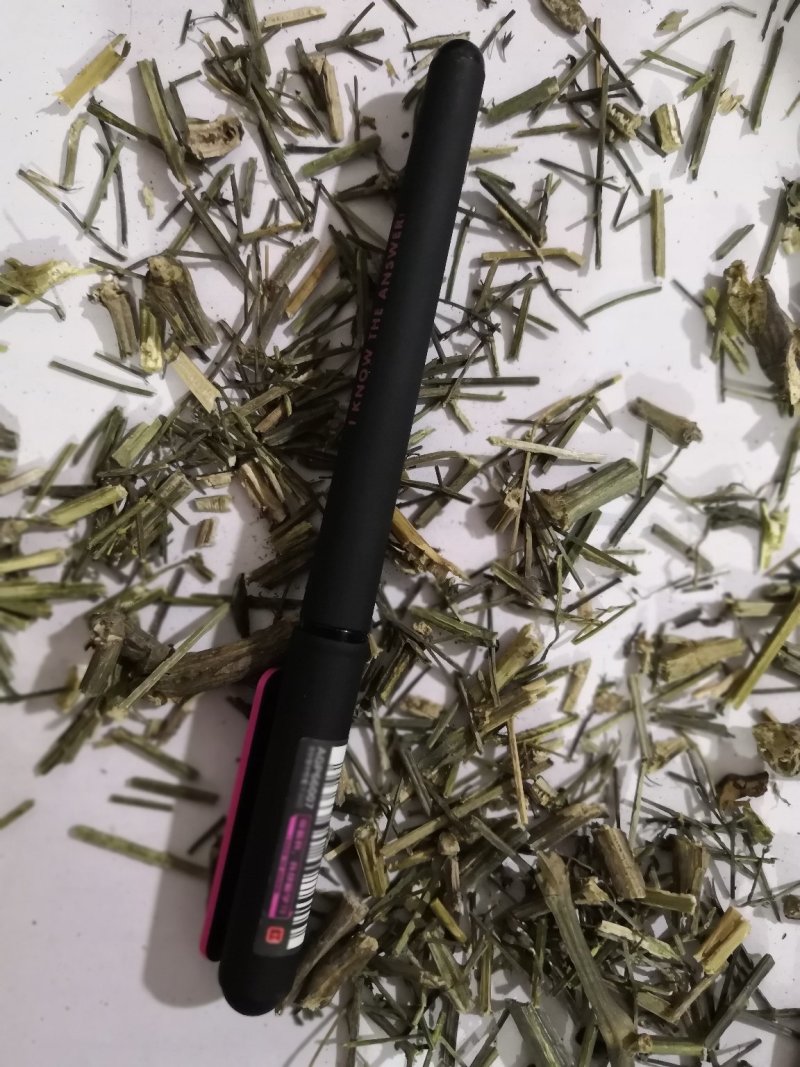 穿心莲