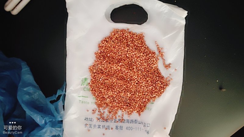红樱子红茅六号