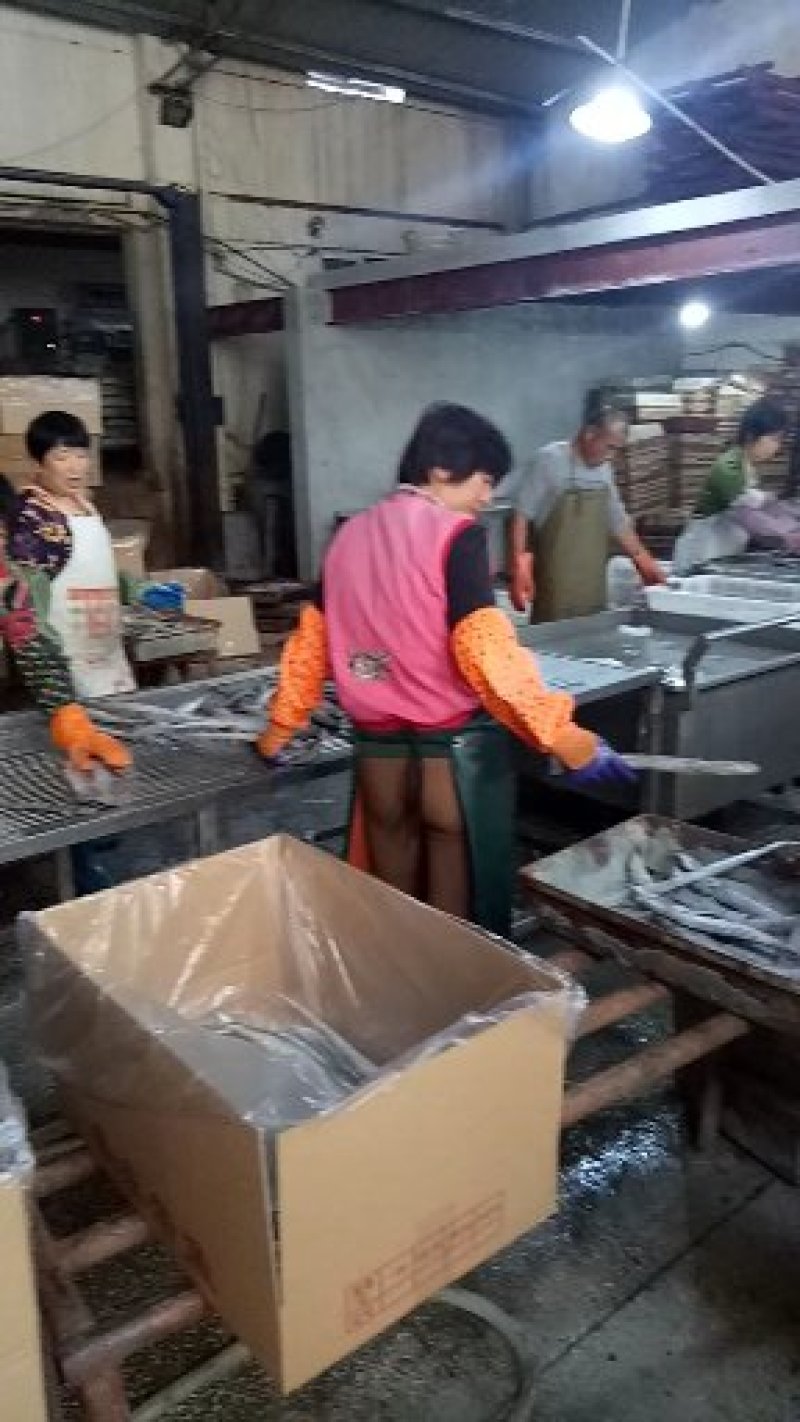 东海小眼带鱼，工厂直发，价格美丽，一件代发