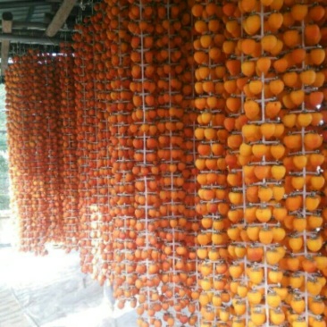 富平优质柿饼