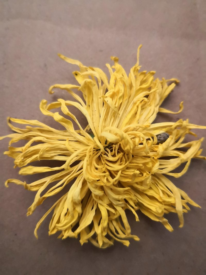 菊花茶