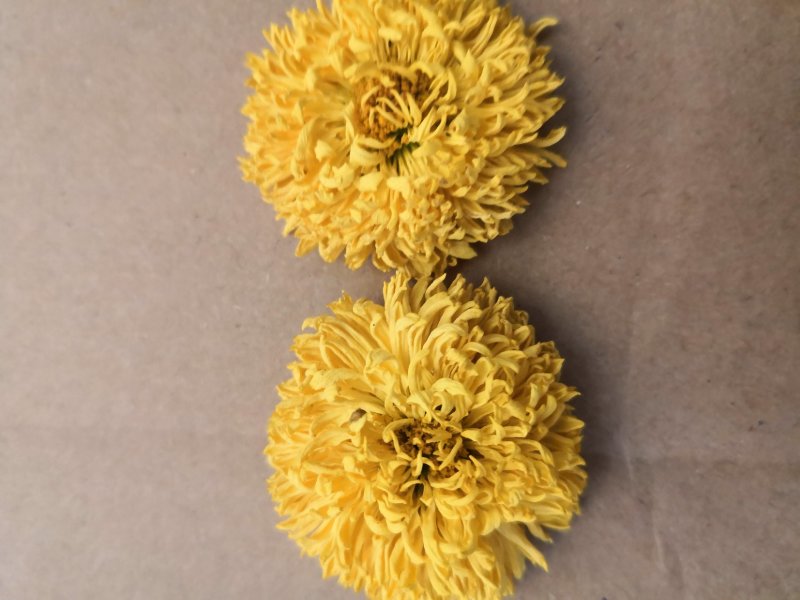 菊花茶