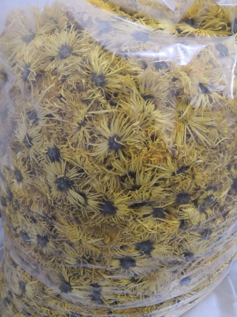 菊花茶金丝皇