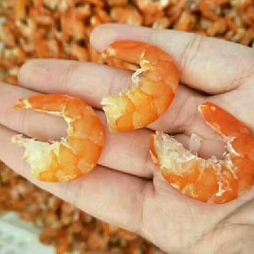 原干海米