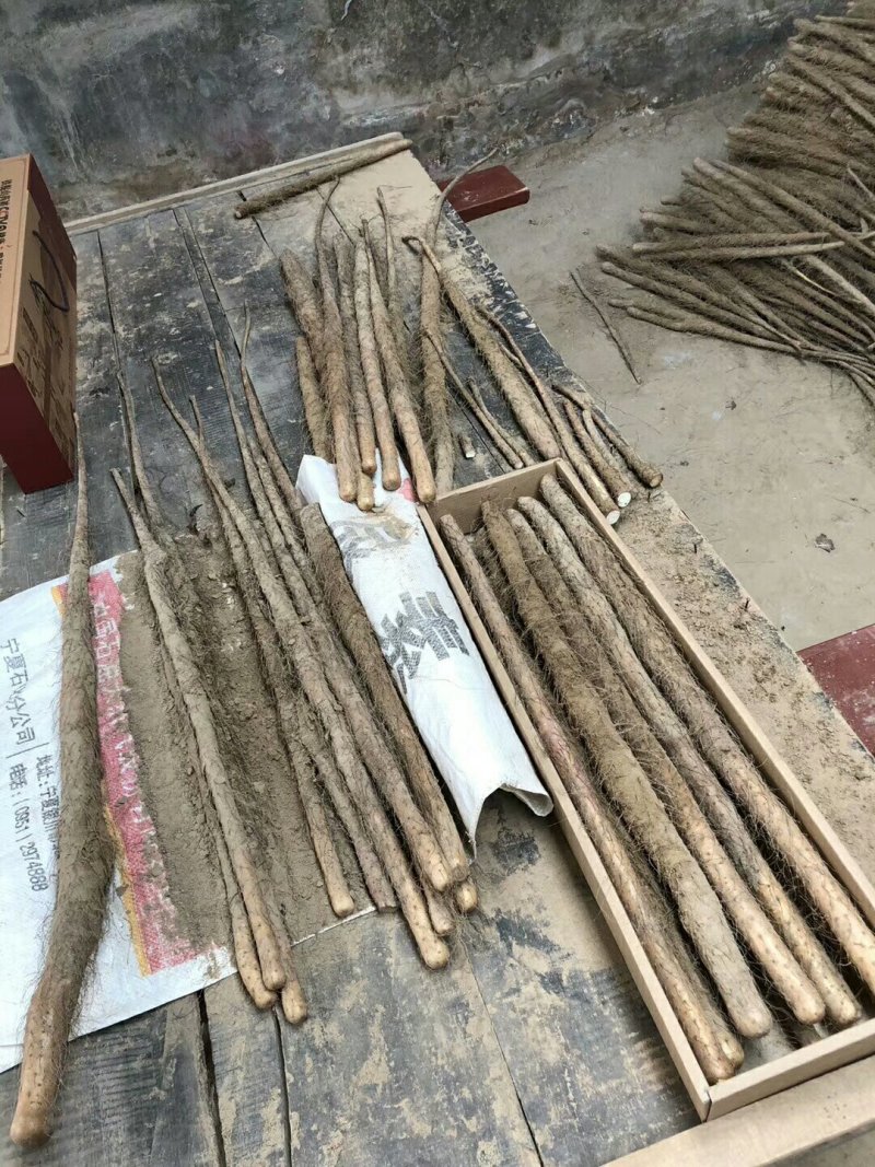 铁棍山药