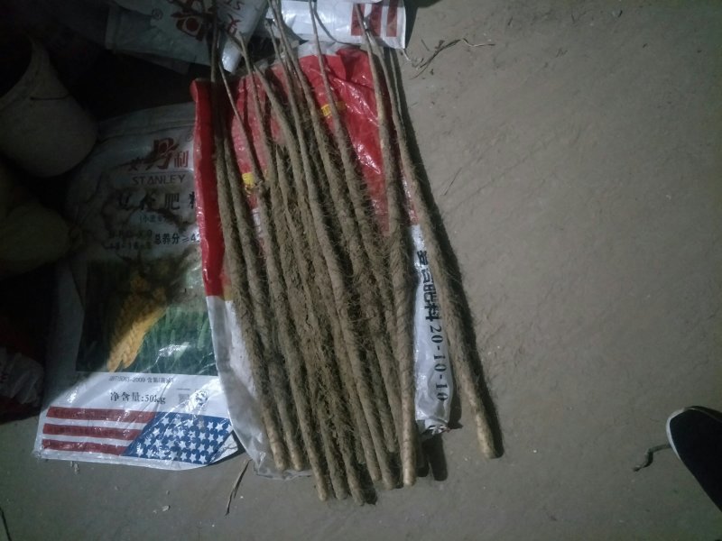 铁棍山药