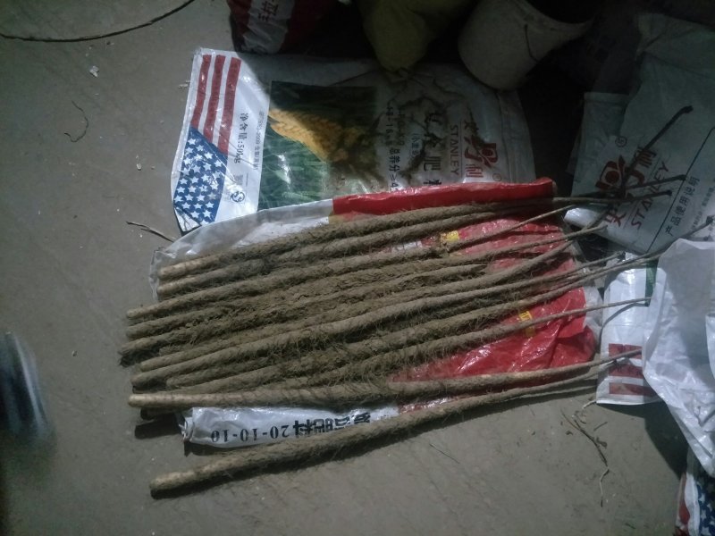 铁棍山药