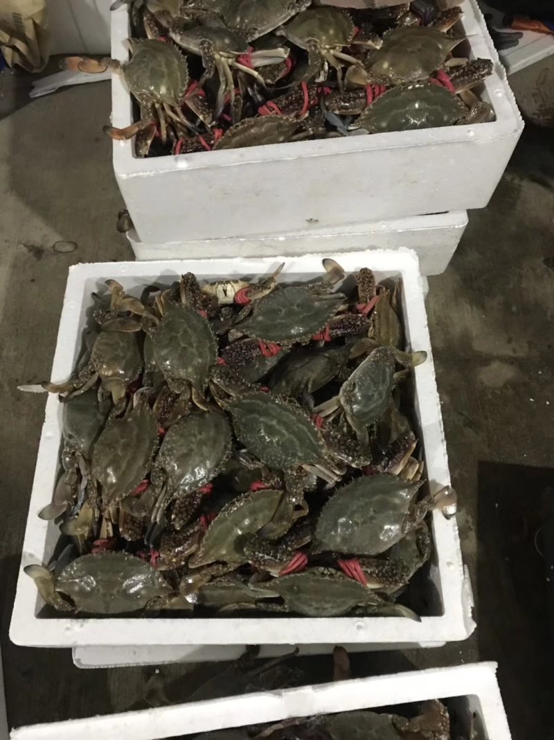 其它