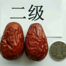 新疆红枣和田大枣厂家代发电商货源品质好价格低
