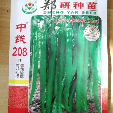 【精】郑研中线208辣椒种子，果长30厘米