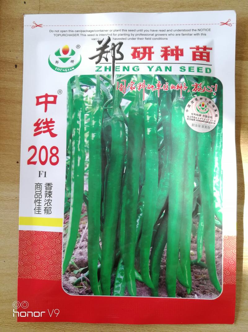 【精】郑研中线208辣椒种子，果长30厘米