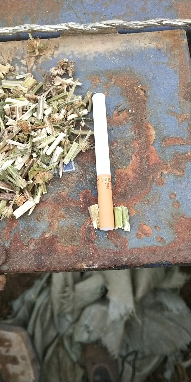 益母草产地货源直供药厂可视频看货基地供应