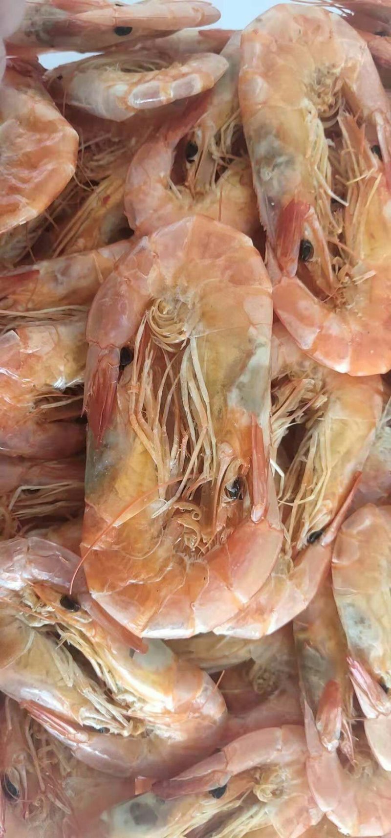欢迎致电
