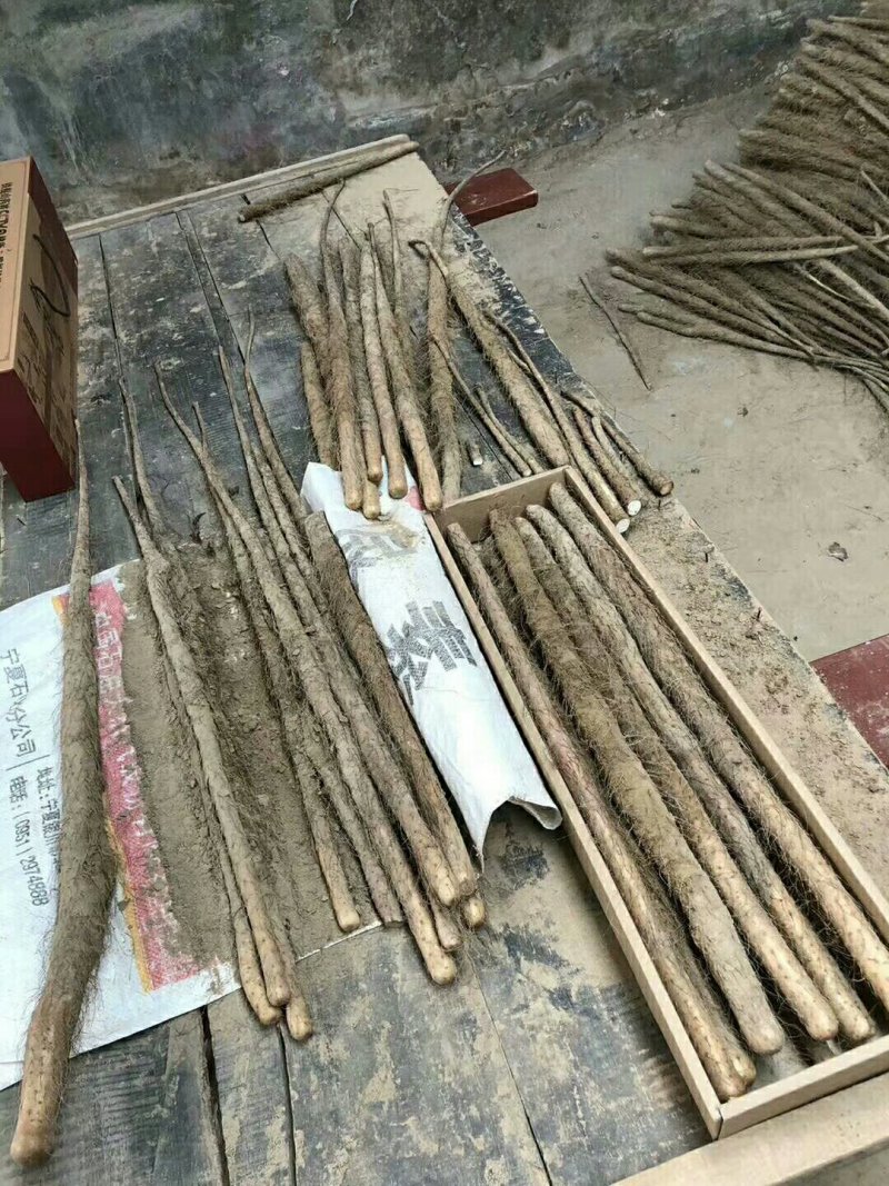 铁棍山药