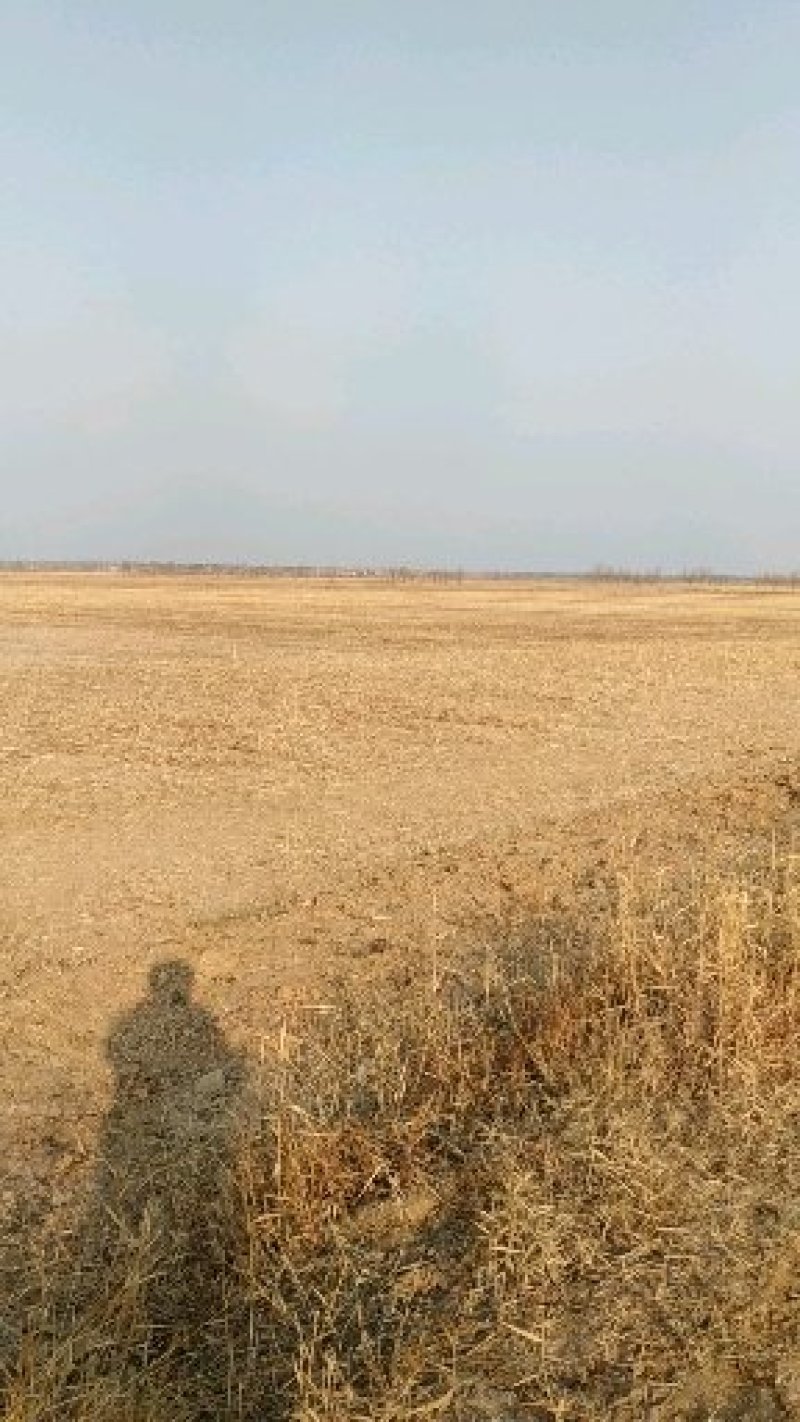 土地