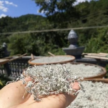 张家界土家莓茶