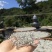张家界土家莓茶
