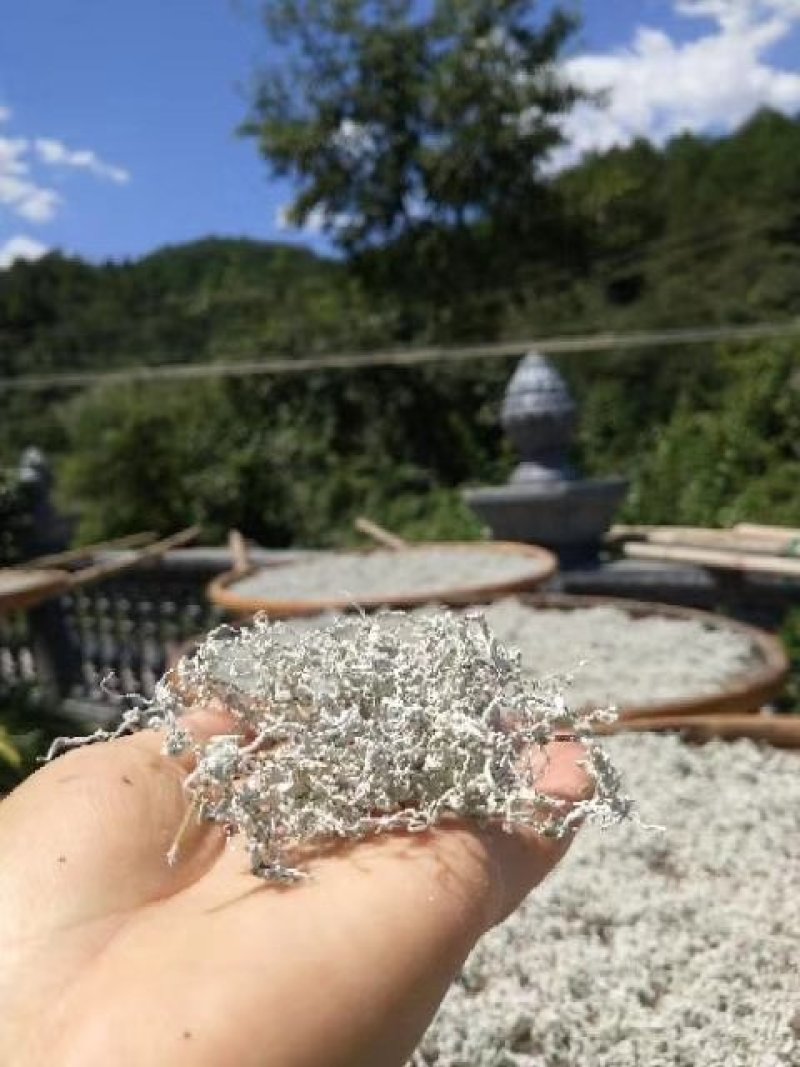 张家界土家莓茶