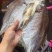 风味武昌鱼鳊鱼干