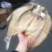 风味武昌鱼鳊鱼干