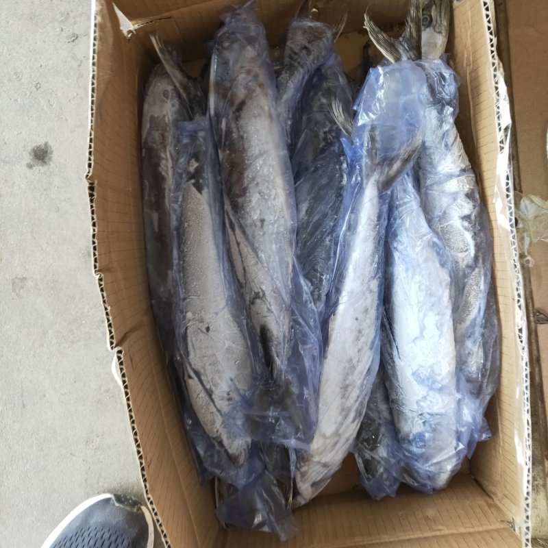 海鲜