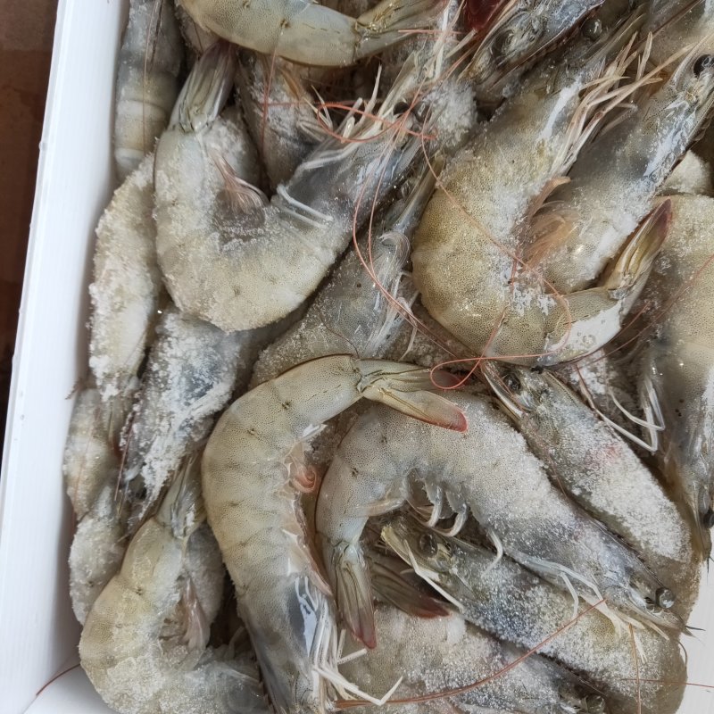 海鲜