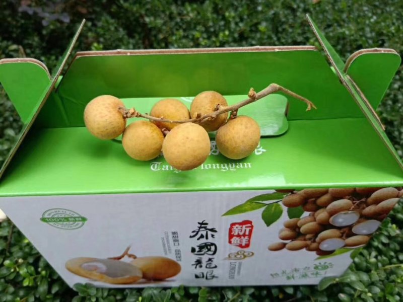 龙眼