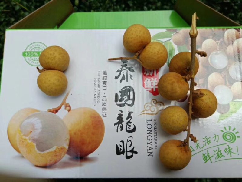 龙眼
