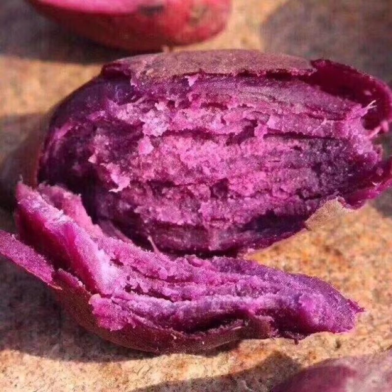 越南珍珠紫薯