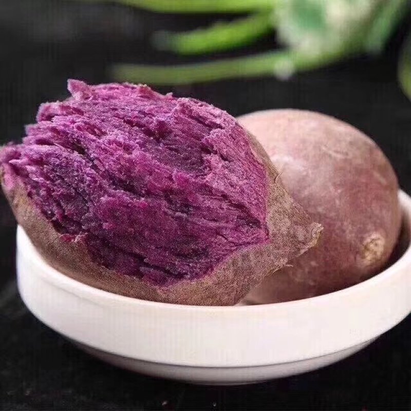 越南珍珠紫薯