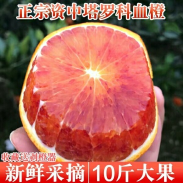 包邮塔罗科血橙10斤大果一件代发电话联系