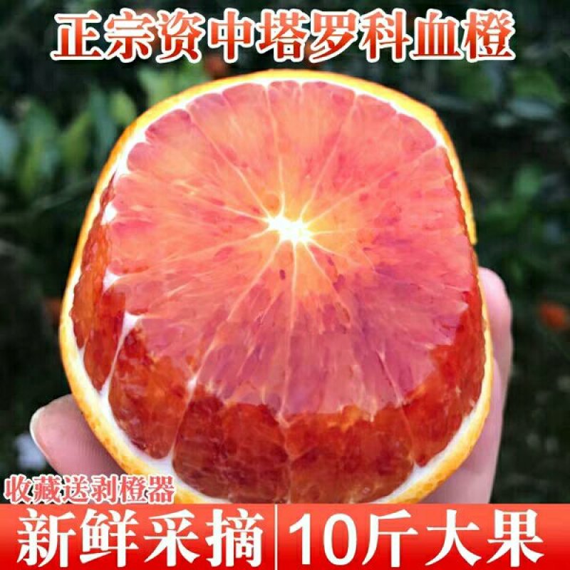 包邮塔罗科血橙10斤大果一件代发电话联系