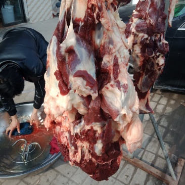 毛驴肉