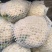精品有机花大量供应各大批发市场超市大米，中米，小米