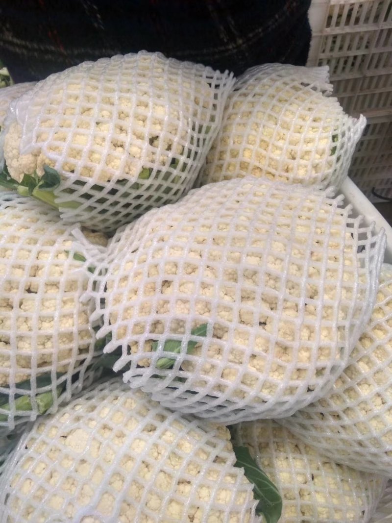 精品有机花大量供应各大批发市场超市大米，中米，小米