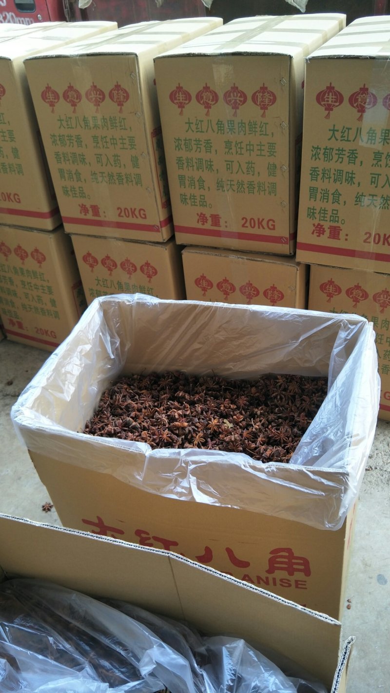 广西大红八角