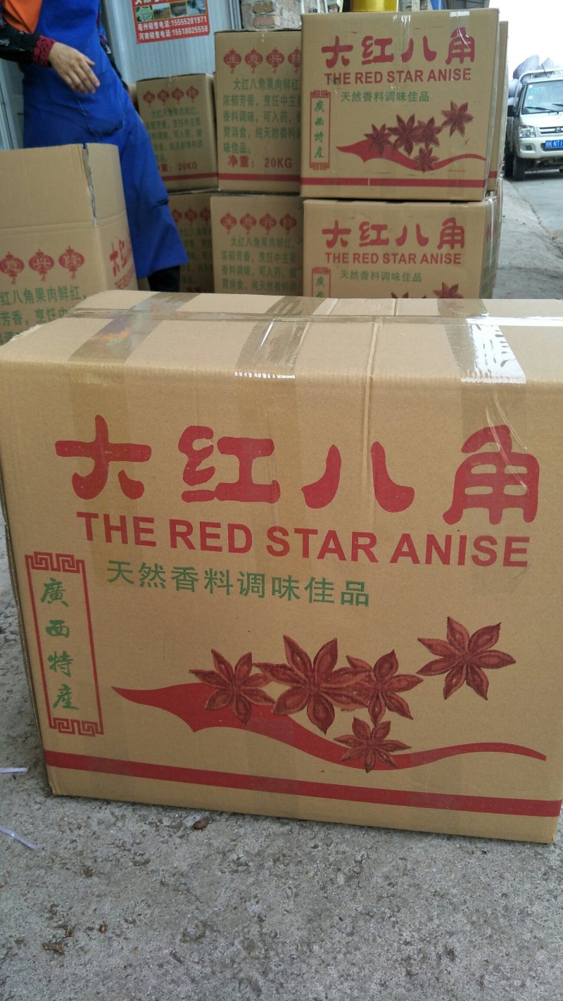 广西大红八角