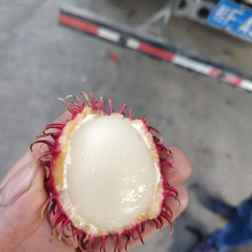 越南红毛丹